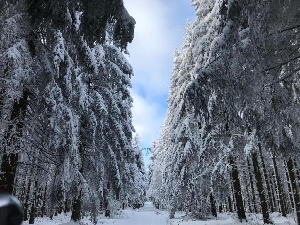 Ferienwohnung Wolkenplatz Winterberg Esterno foto