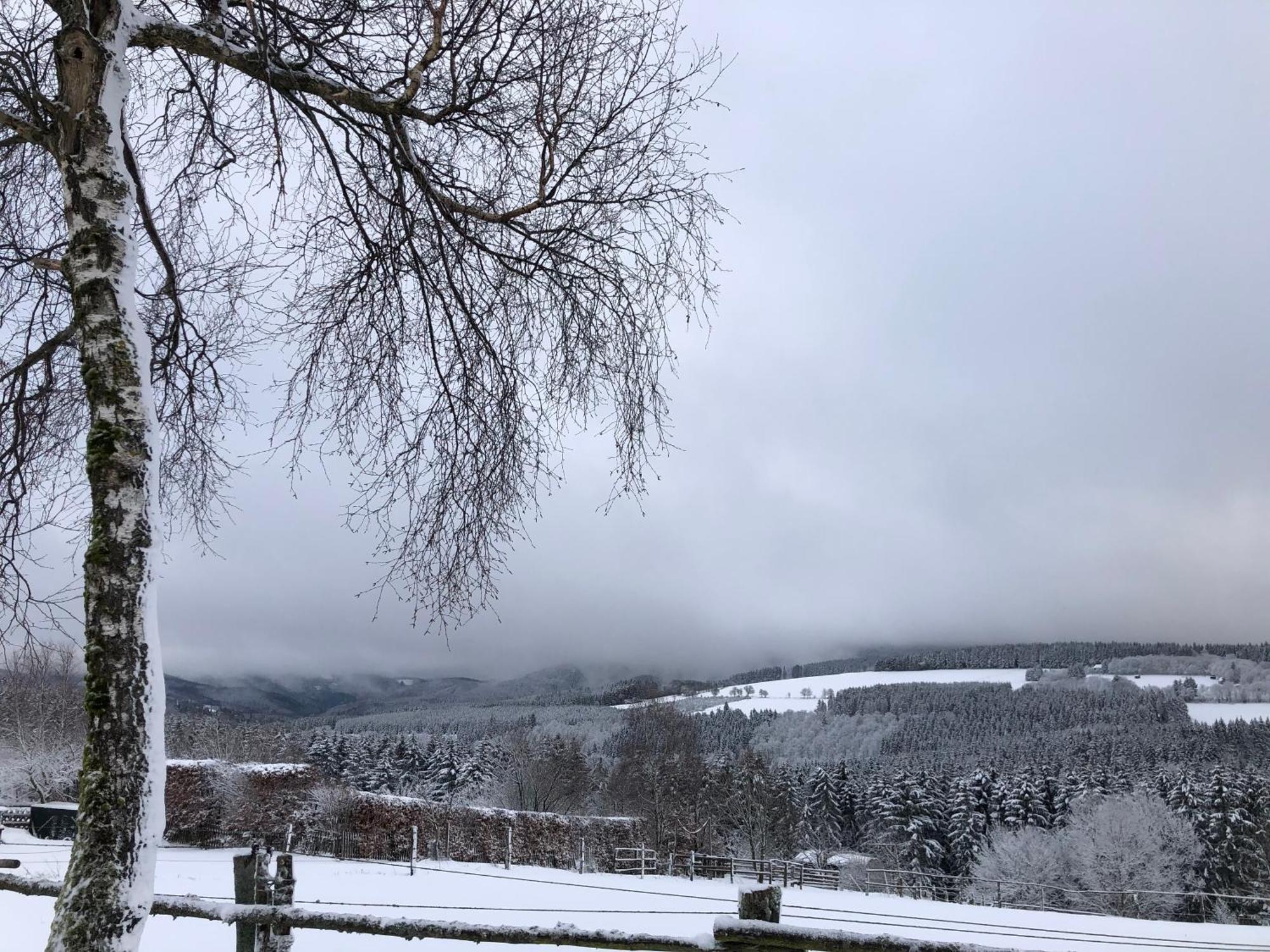 Ferienwohnung Wolkenplatz Winterberg Esterno foto