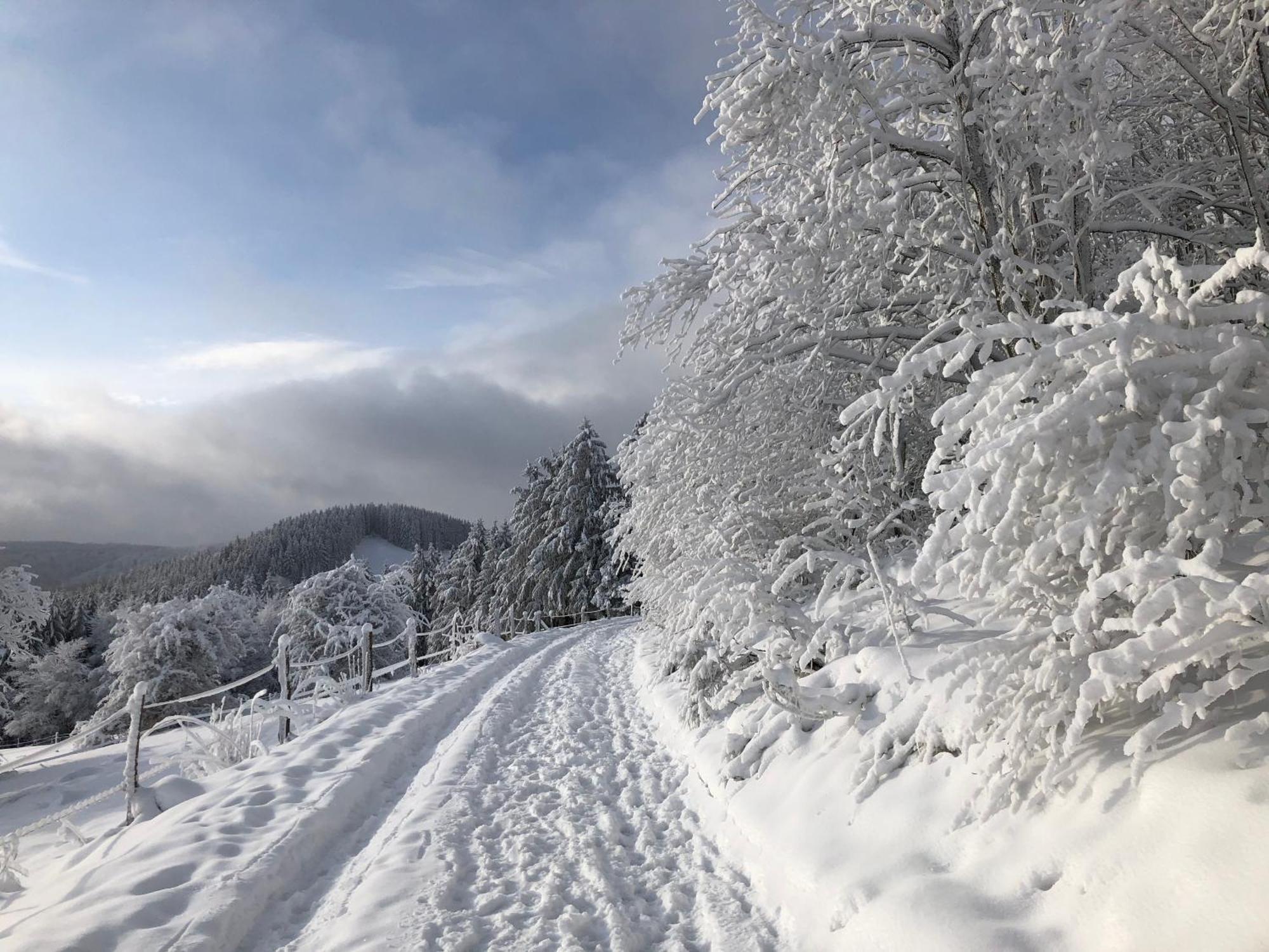 Ferienwohnung Wolkenplatz Winterberg Esterno foto