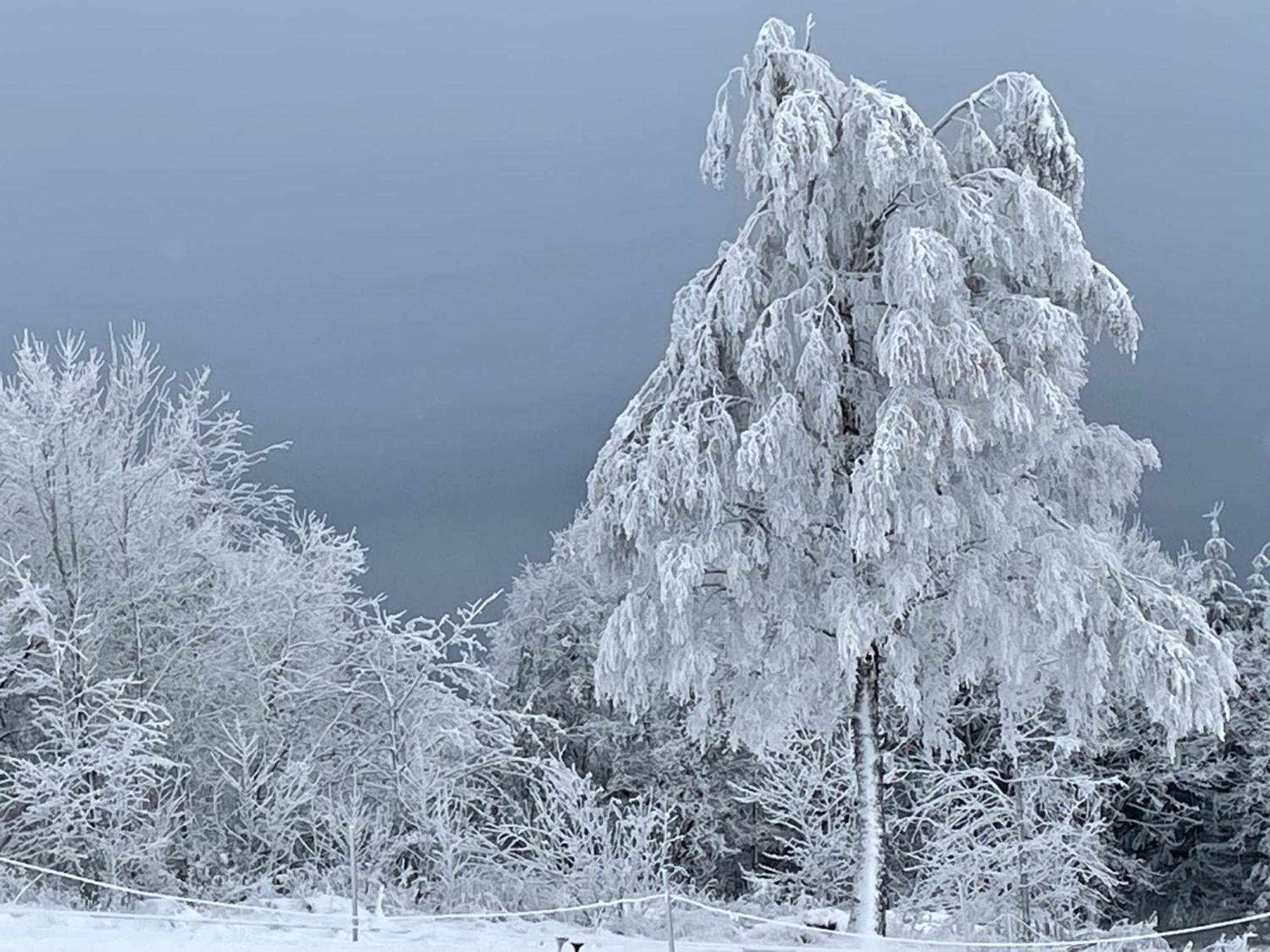Ferienwohnung Wolkenplatz Winterberg Esterno foto