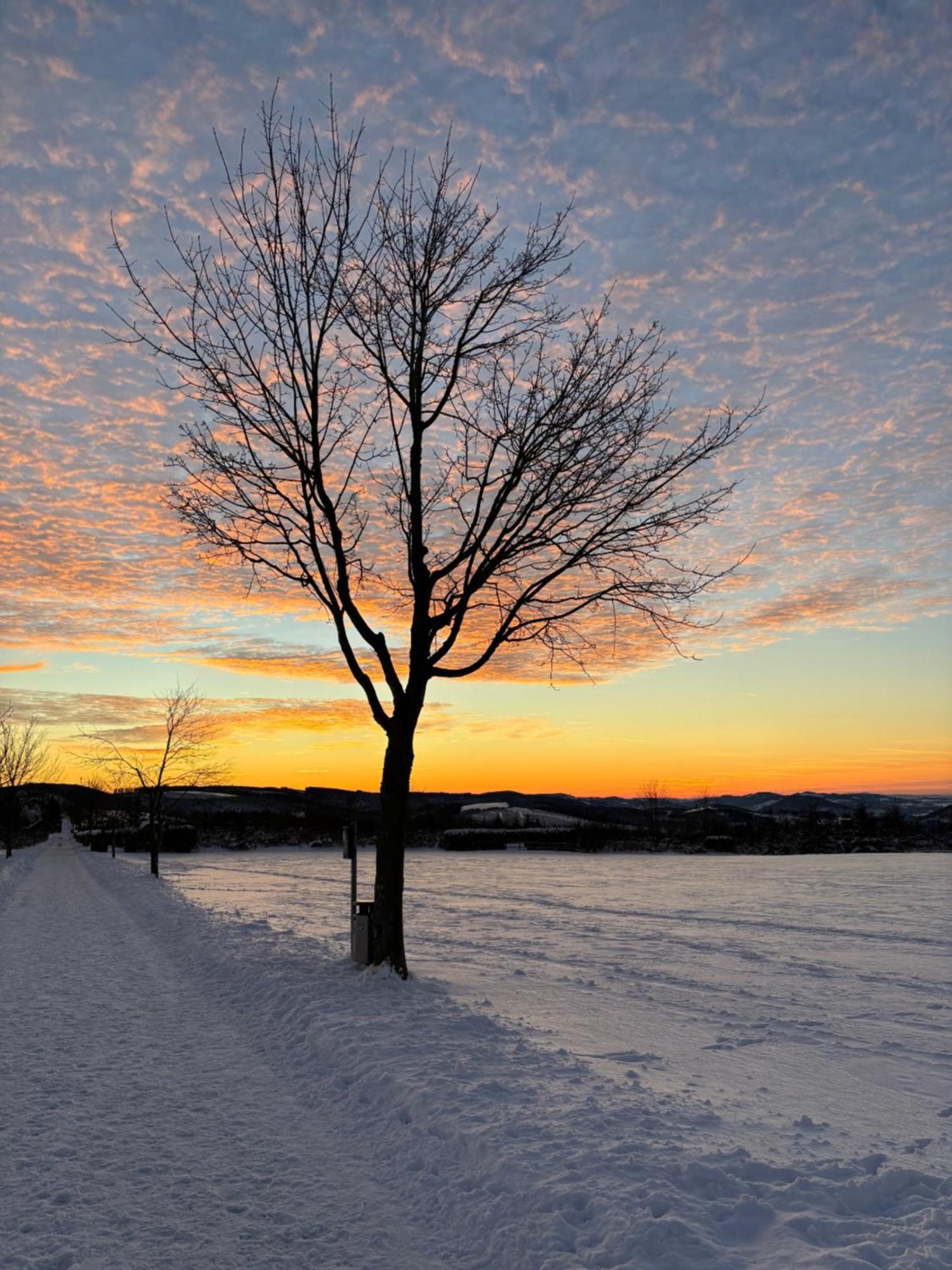 Ferienwohnung Wolkenplatz Winterberg Esterno foto